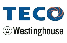 TECO Westinghouse